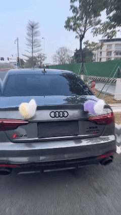 Voice-Controlled & Remote Wagging Car Tail 