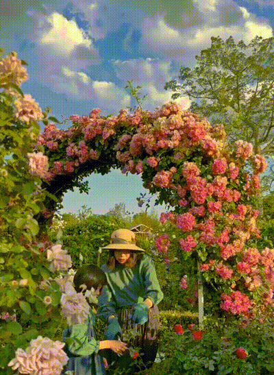 7-0edc4ff00322a92d366e546ea0f2f3dc.gif