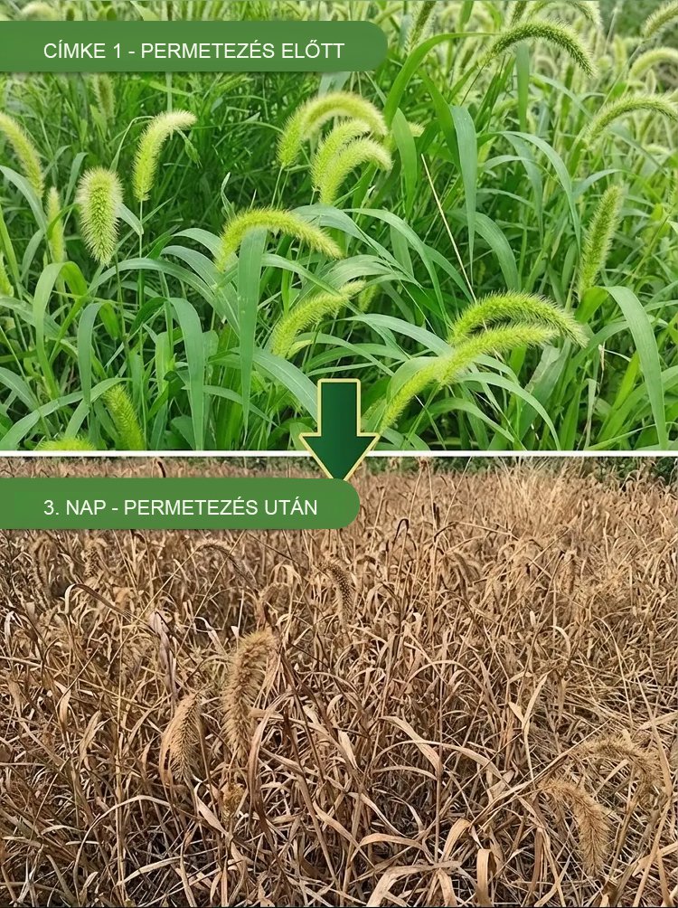 翻译件-SL-除草烂根剂-1349739-系统-(2)_12.jpg