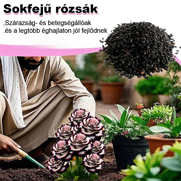 🌹Lenyűgözőbb, mint a rózsák – otthonod a falu legirigyeltebb helye lesz!