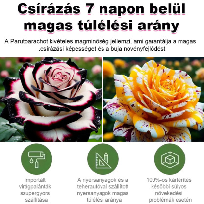 🌹Lenyűgözőbb, mint a rózsák – otthonod a falu legirigyeltebb helye lesz!
