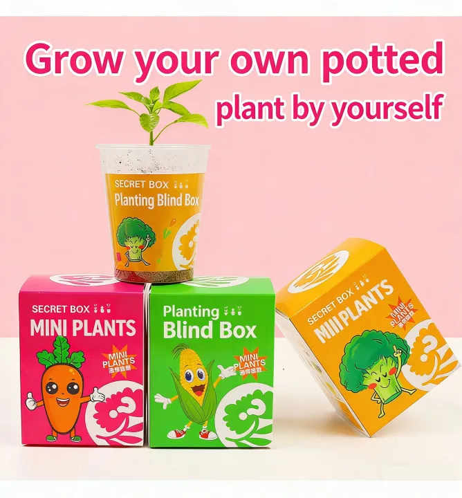Mini Plant Seed Blind Box Potted Plants