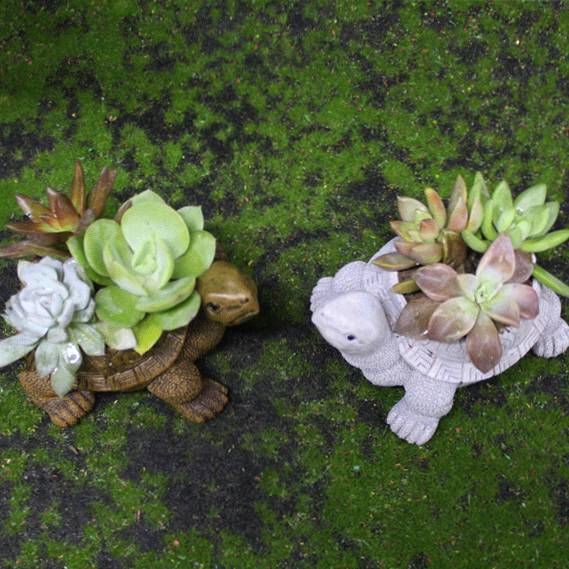🐢 Adorable Tortoise Planter | Perfect for Succulents & Cacti 🌵