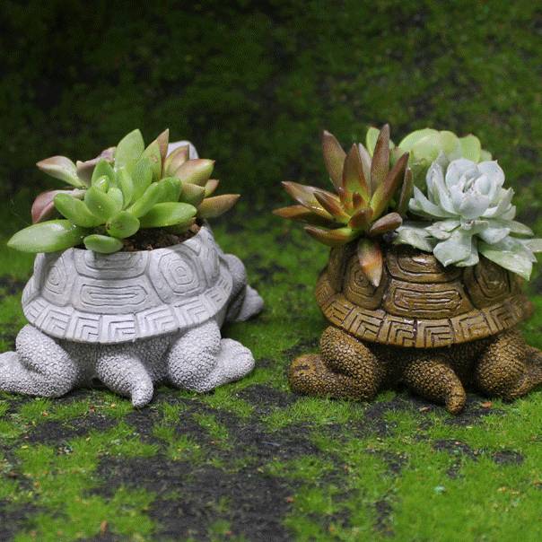 🐢 Adorable Tortoise Planter | Perfect for Succulents & Cacti 🌵