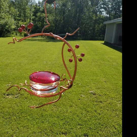 Red Berries Hummingbird Feeder-20% OFF