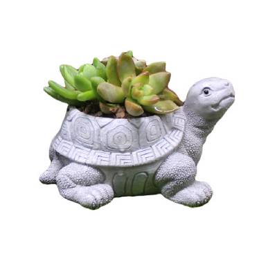 🐢 Adorable Tortoise Planter | Perfect for Succulents & Cacti 🌵