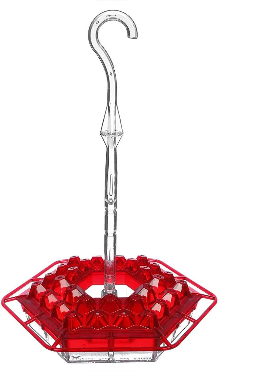 Hummingbird Feeder With Perch And Built-in Ant Moat
