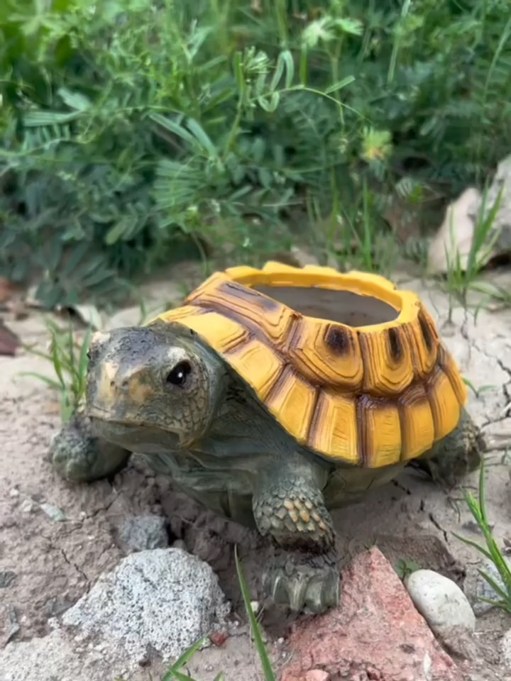 Vintage Turtle Resin Planter 🌿 | Creative Succulent Pot with Drainage Hole