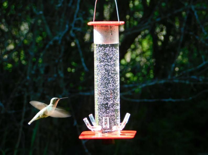 Hummingbird Feeder - Buy 2 Give Free Cleaning Brush and Hook