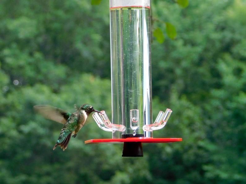 Hummingbird Feeder - Buy 2 Give Free Cleaning Brush and Hook