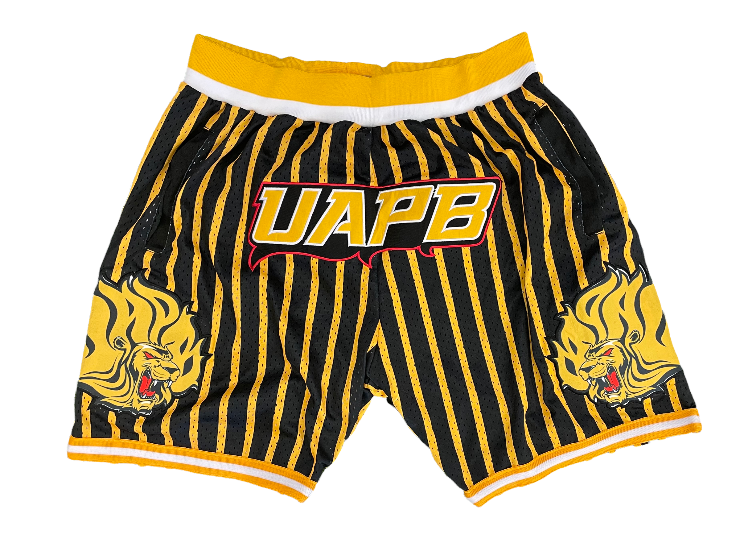 UAPB BASKETBALL SHORTS