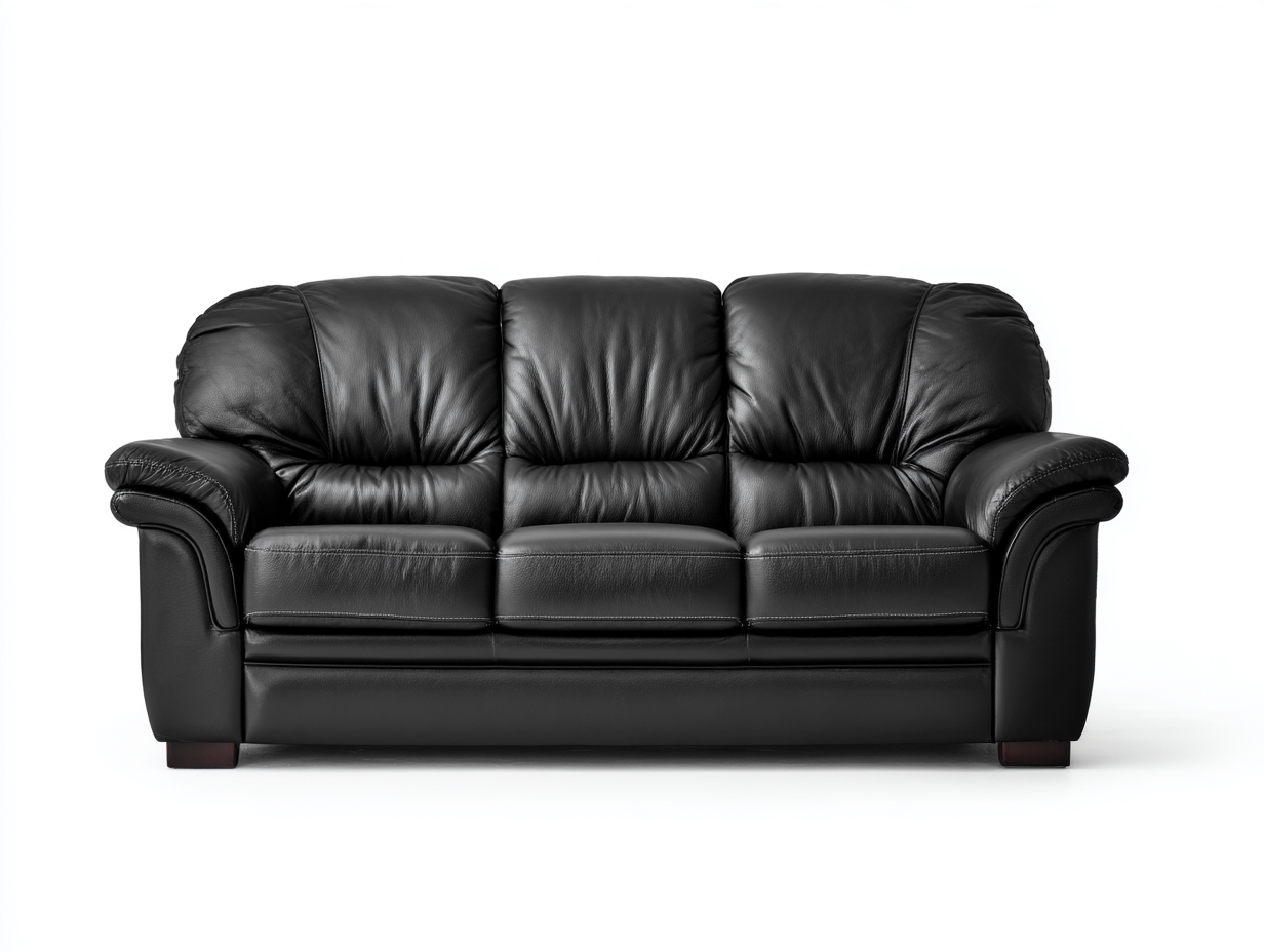 Canapé 3 places en cuir 222x98x86 cm - noir - style confortable pour salon-Pinegetbay