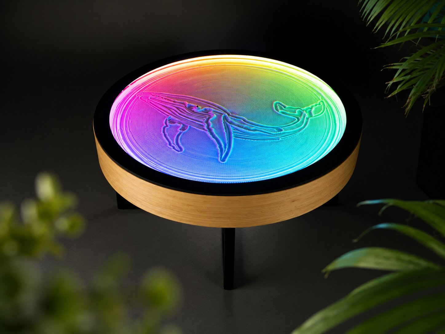 Oasis Mini