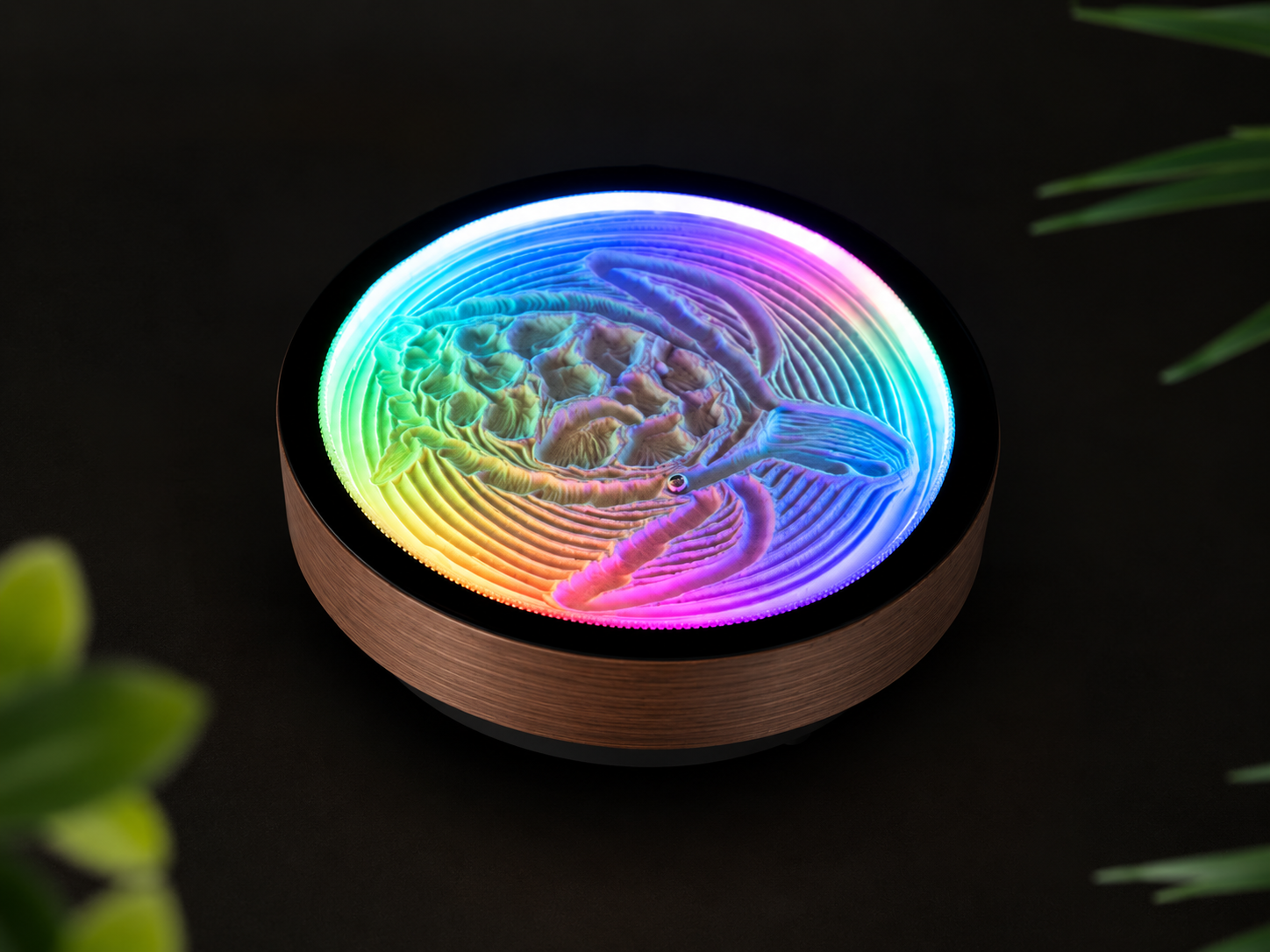 Oasis Mini