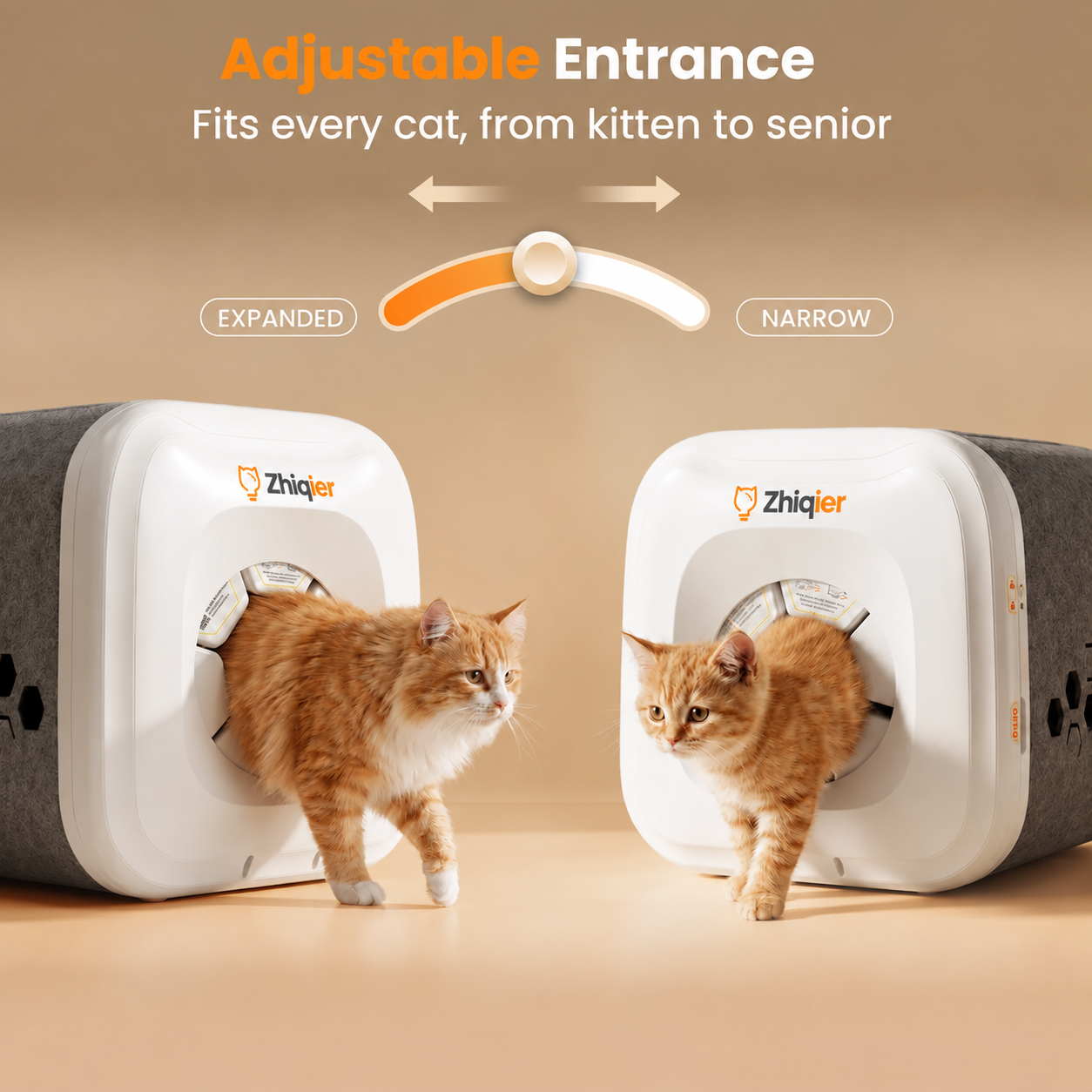Automated Biomimetic Cat Grooming Station
