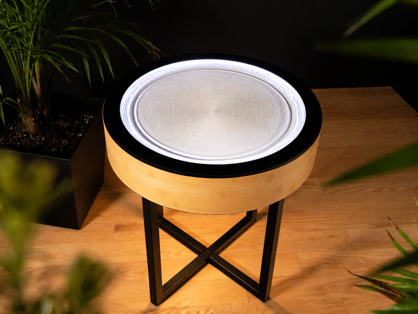 Oasis Mini