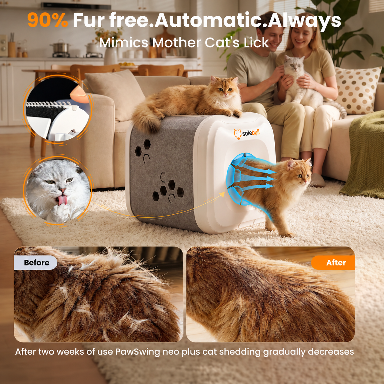 Automated Biomimetic Cat Grooming Station