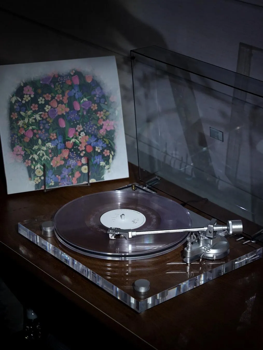 Genesis-V2 vinyl setup &mdash; community photo 3
