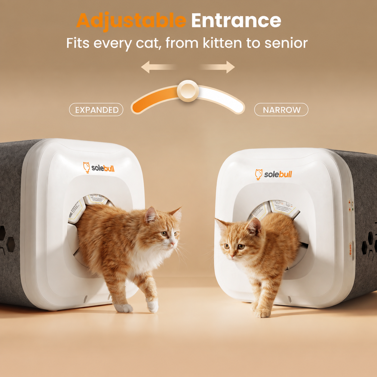 Automated Biomimetic Cat Grooming Station