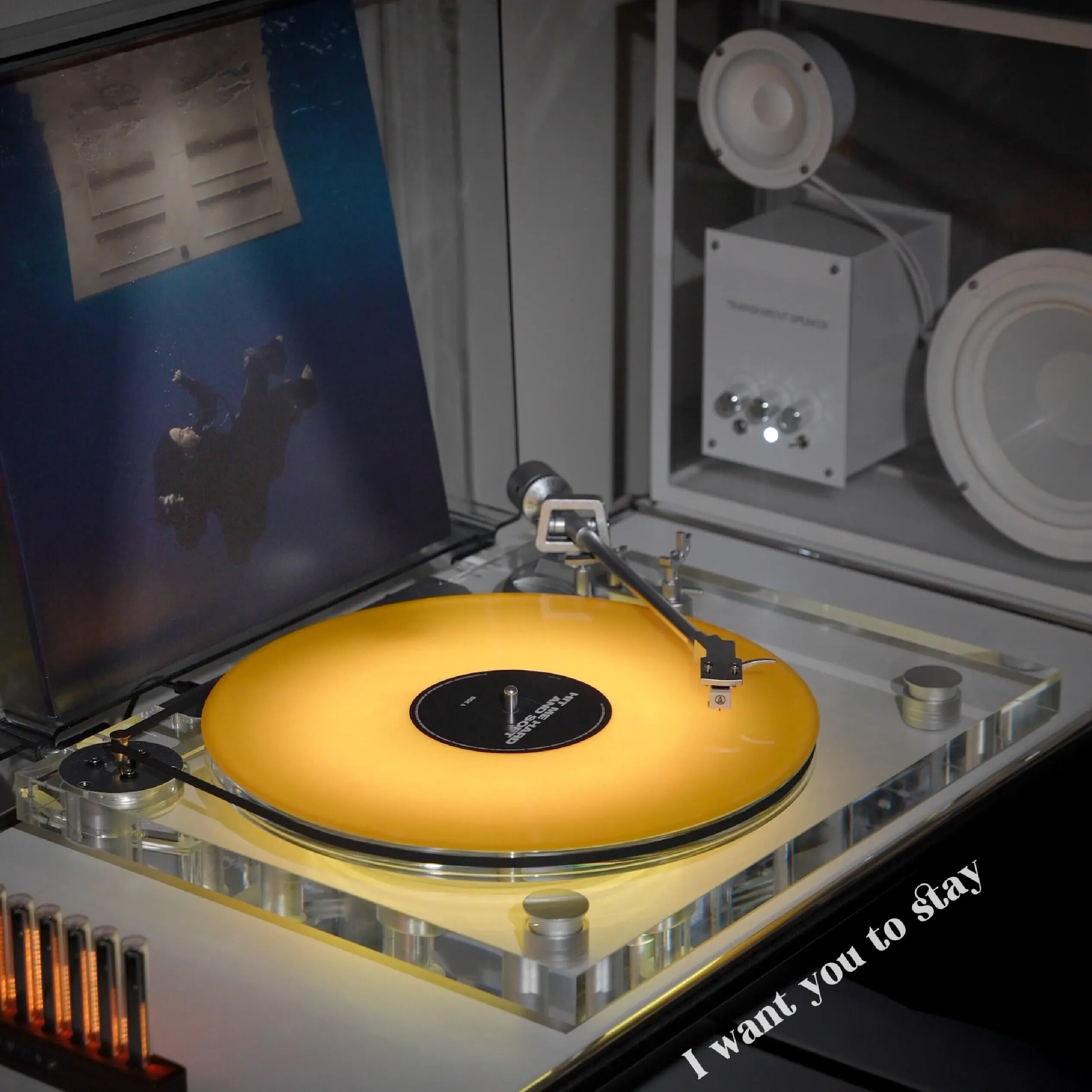 Genesis-V2 vinyl setup &mdash; community photo 10