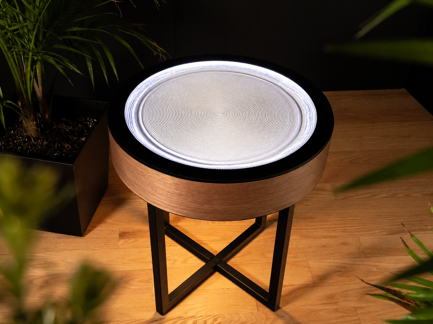 Oasis Mini