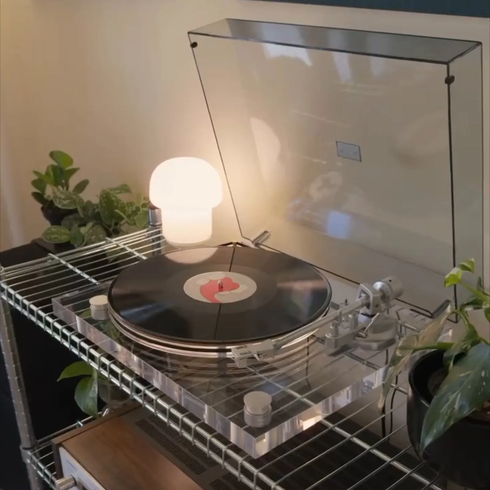 Genesis-V2 vinyl setup &mdash; community photo 9