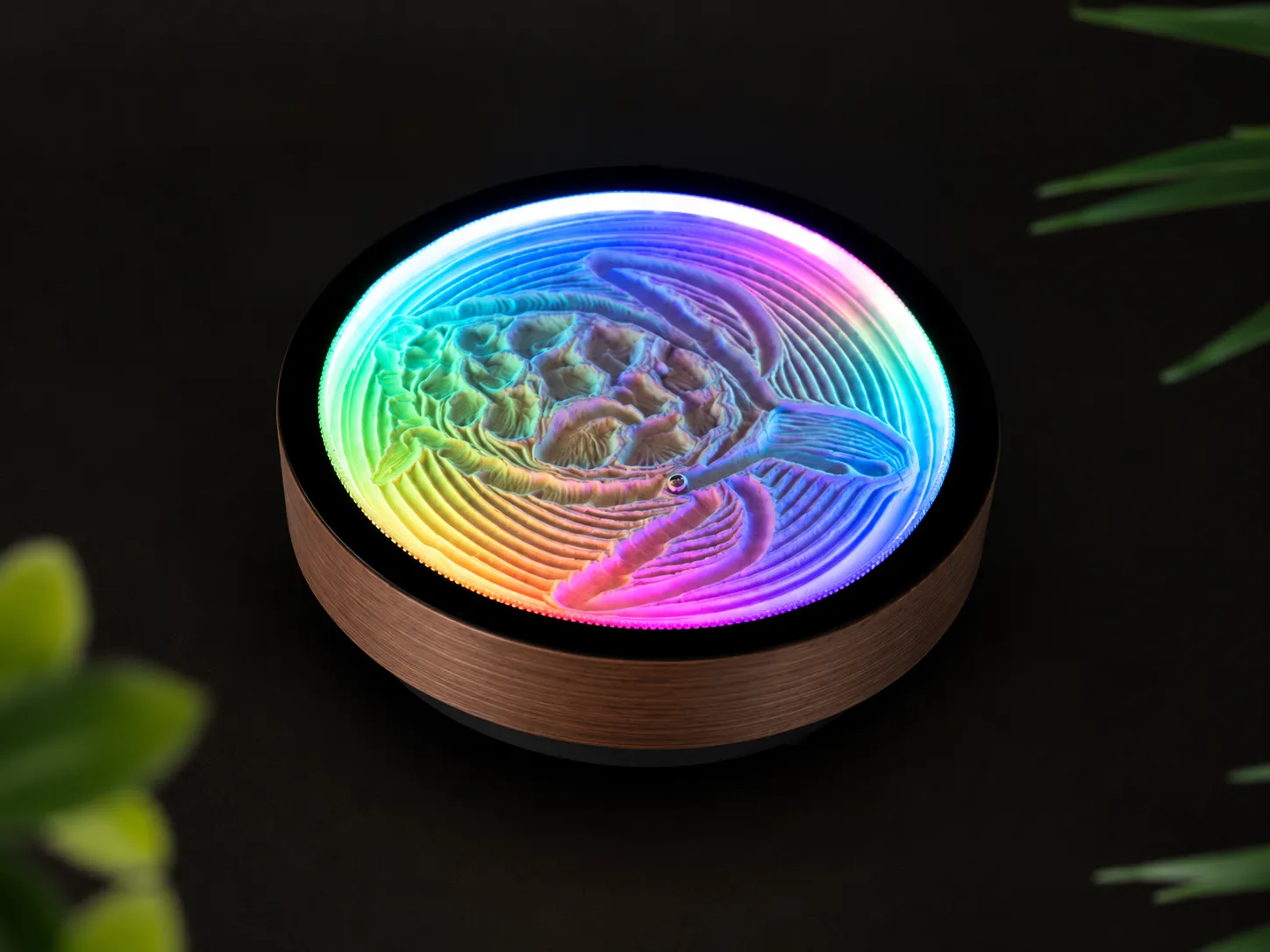 Oasis Mini