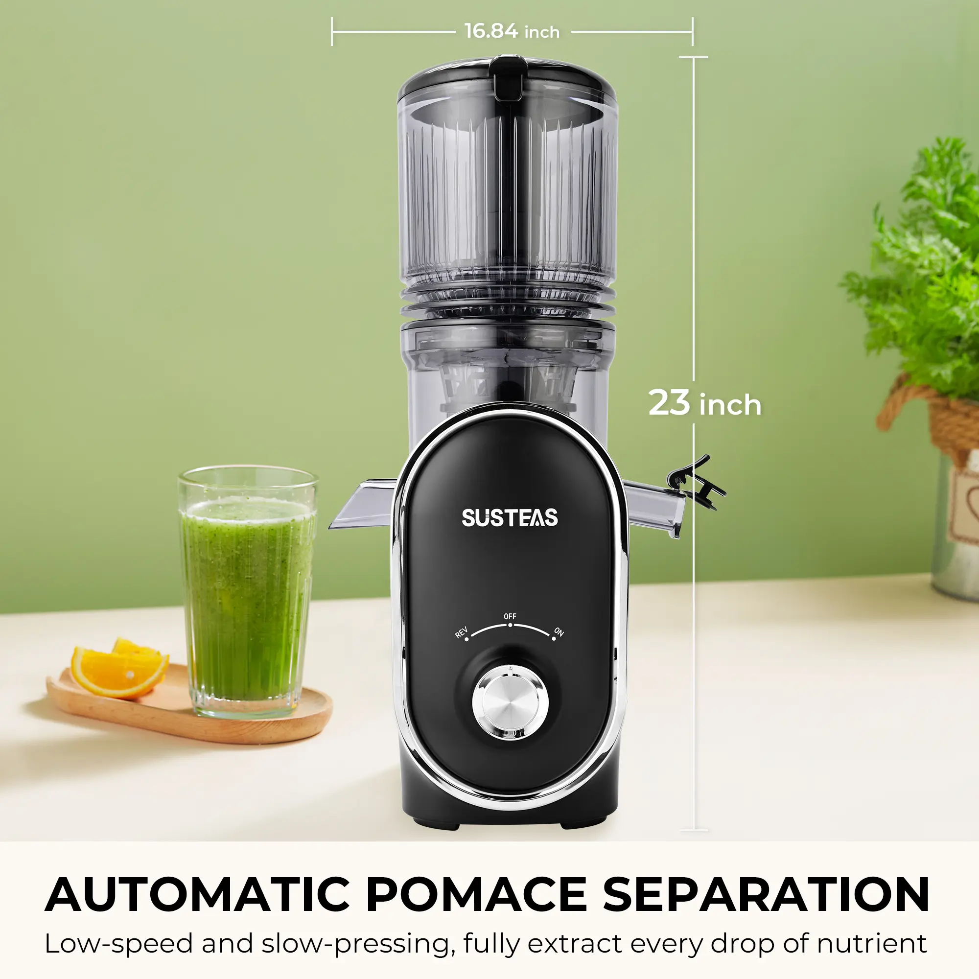 Cold Press Juicer - High Yield & Easy Clean