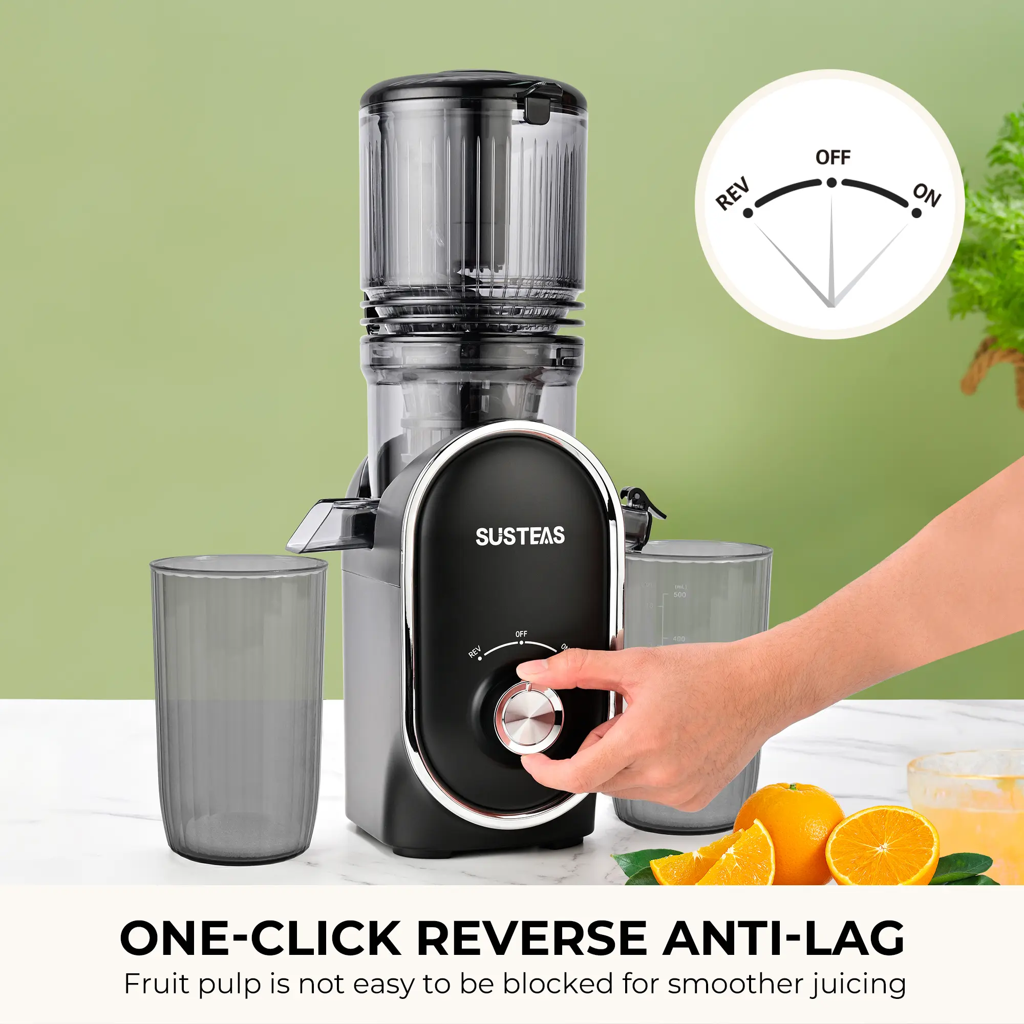 Cold Press Juicer - High Yield & Easy Clean