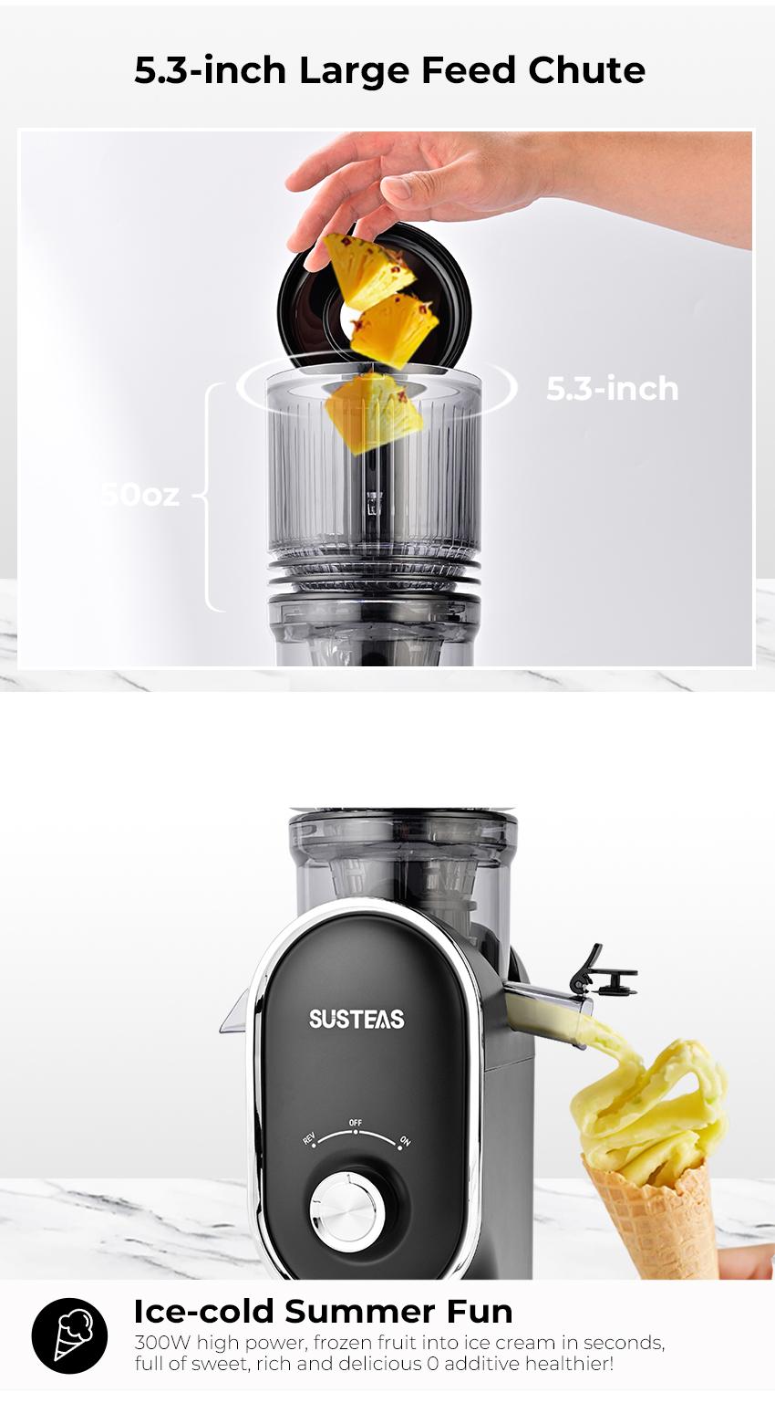 SUSTEAS Cold Press Juicer, 5.3 Inch Large Feed Opening, Slow Masticator Chute, For Whole Vegetables and Fruits, High Yield, Easy to Clean Springtok Steel,summerwins summerwins,home essentials