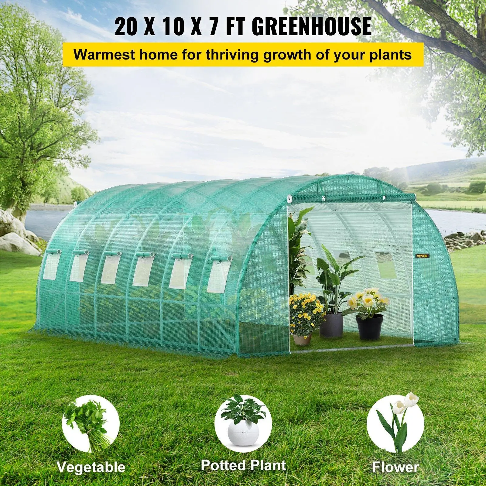 Large Walk-In Tunnel Greenhouse 