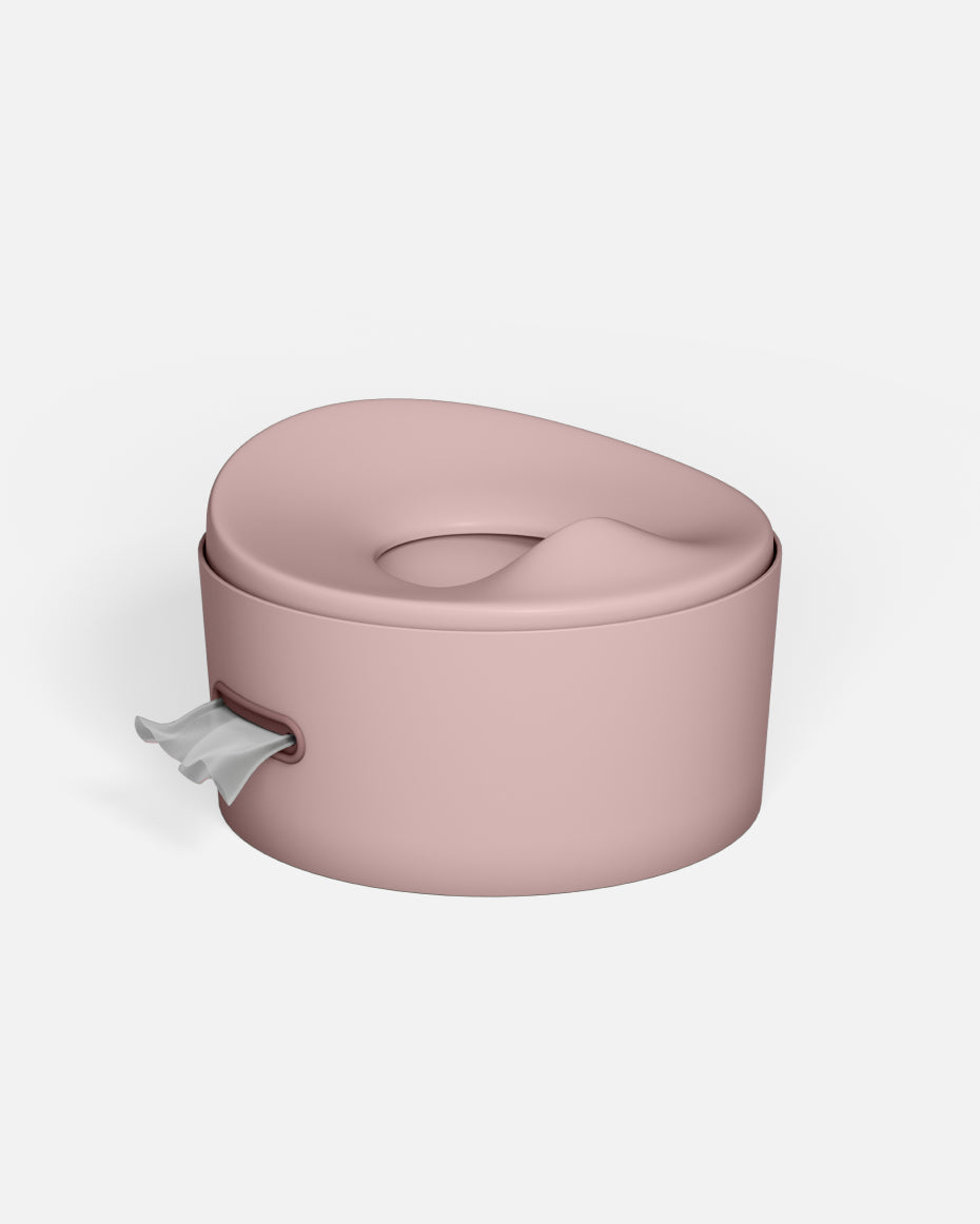 3-in-1 Potty Training Seat That Grows With Your Child