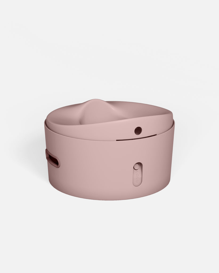 3-in-1 Potty Training Seat That Grows With Your Child