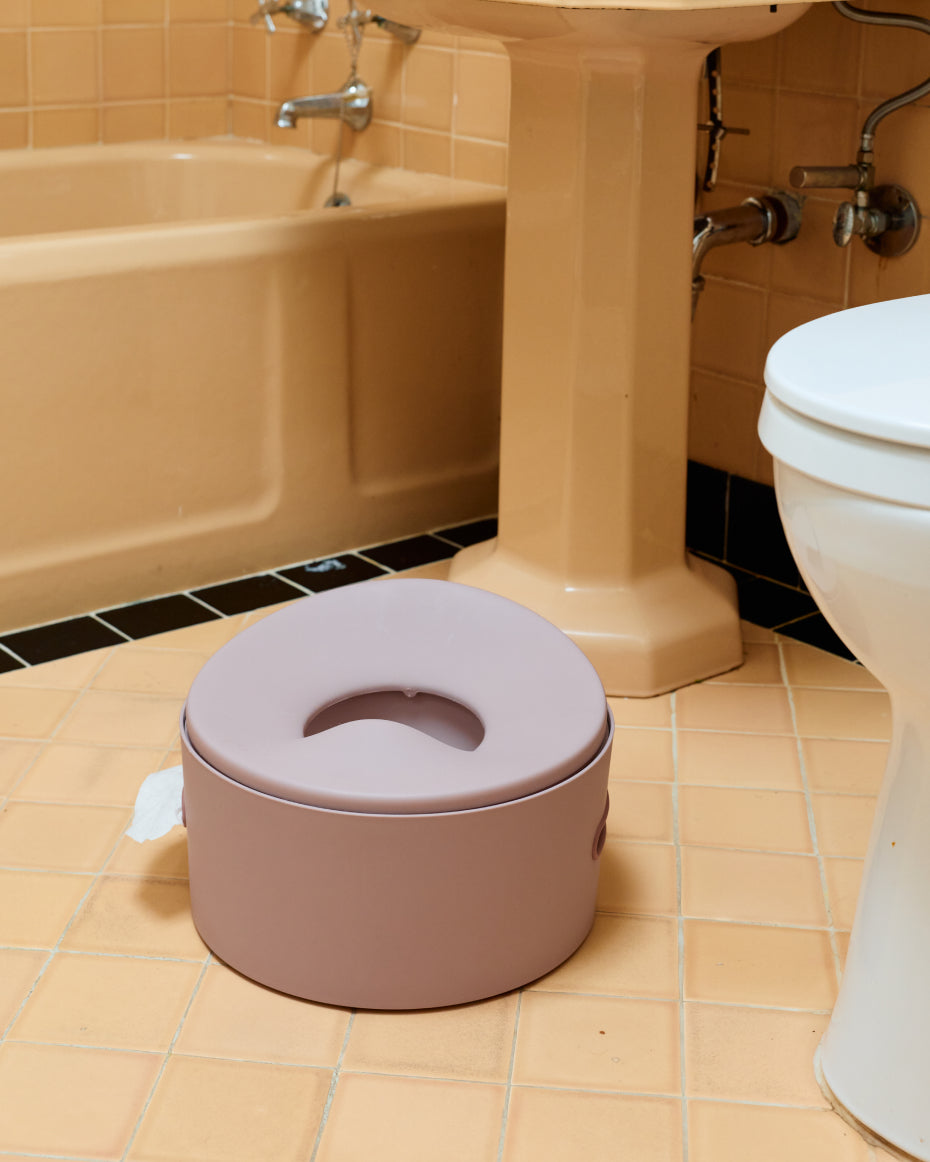 3-in-1 Potty Training Seat That Grows With Your Child