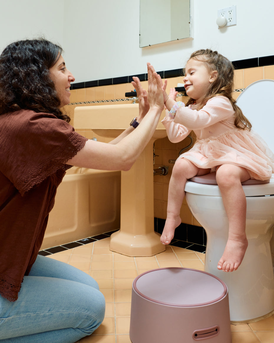 3-in-1 Potty Training Seat That Grows With Your Child