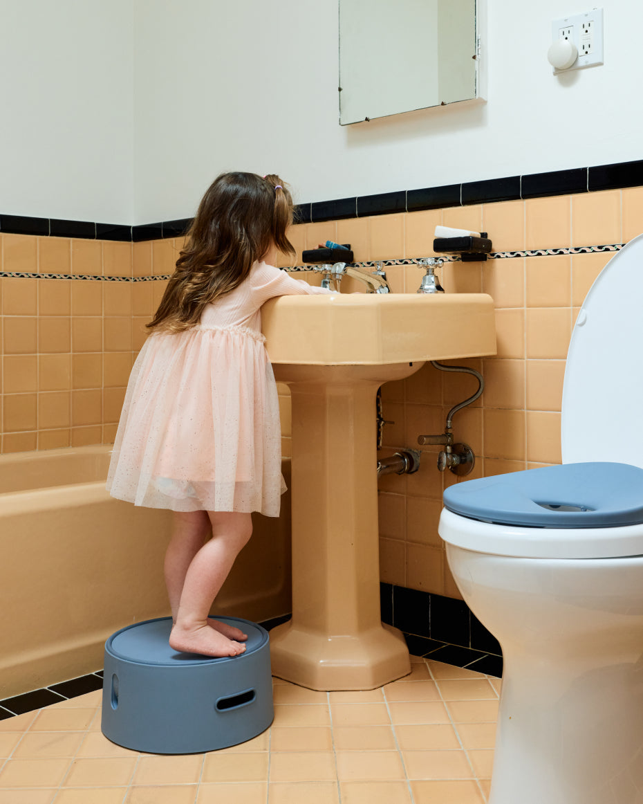 3-in-1 Potty Training Seat That Grows With Your Child