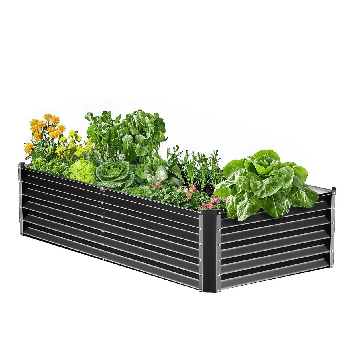 Large Raised Garden Bed with Open Bottom（6.7 x 3 x 1.5 ft）