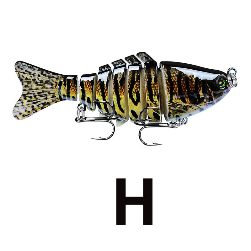 🔥Bionic Lure —Catch Big Fish Fast! 🎣