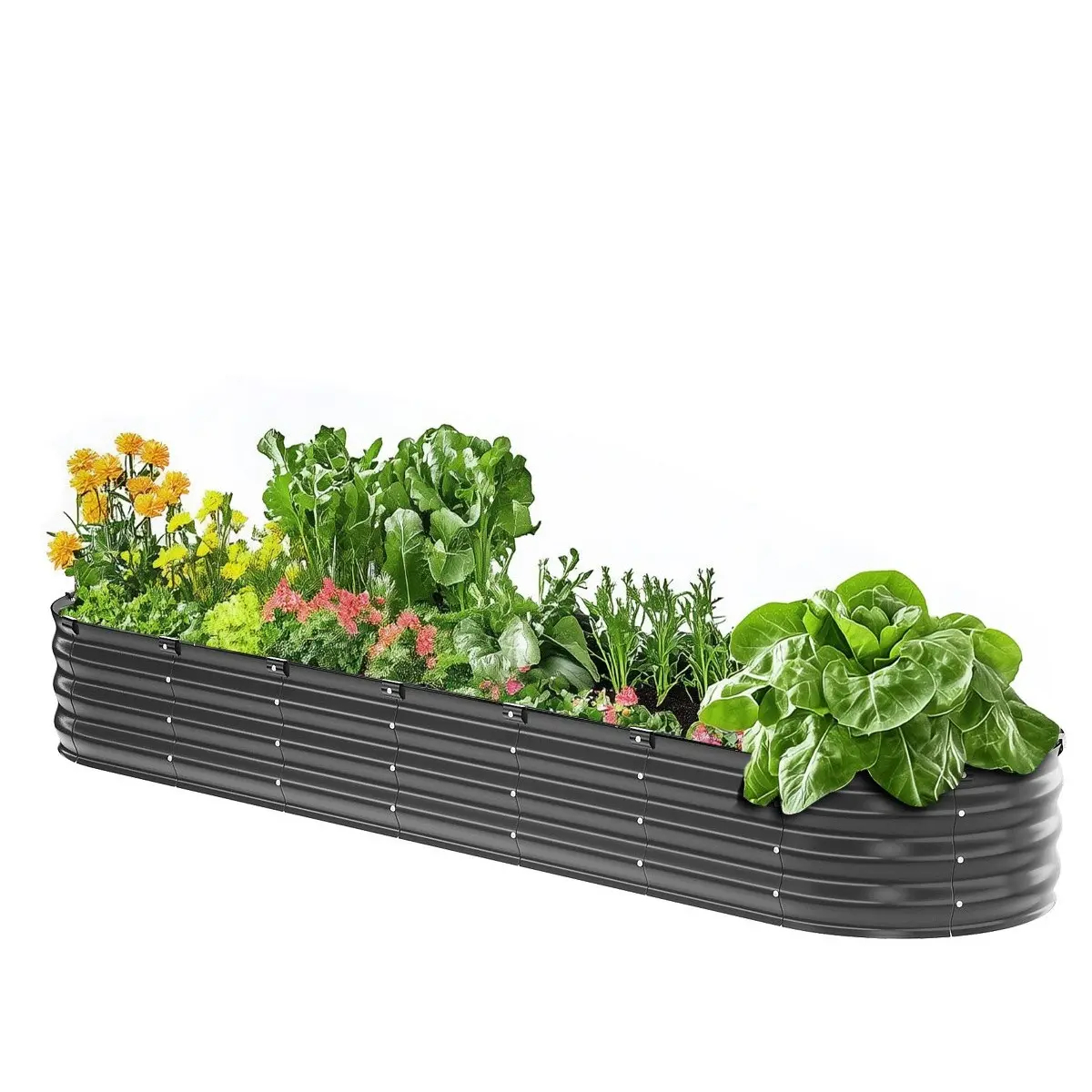 Large Raised Garden Bed with Open Bottom（6.7 x 3 x 1.5 ft）