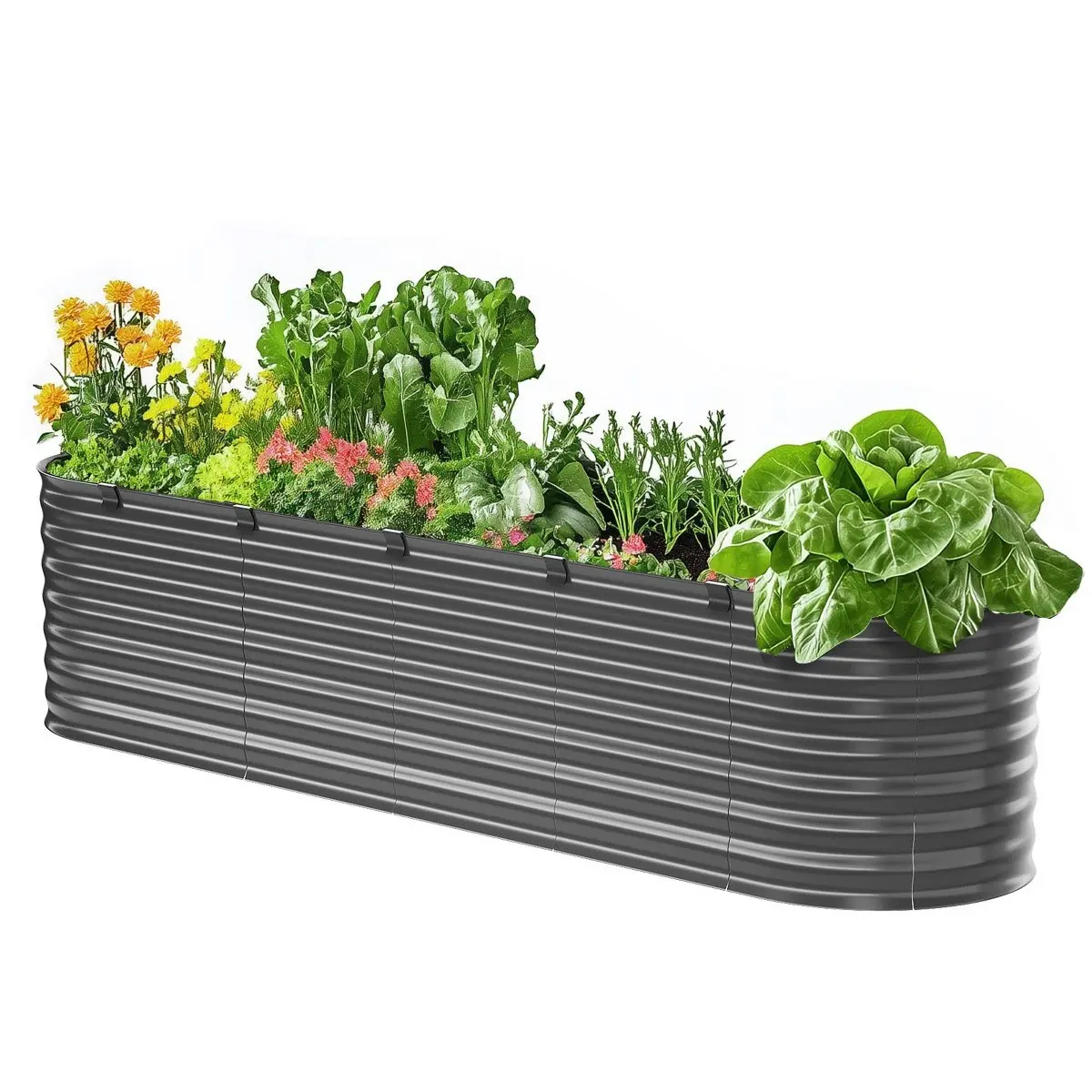 Large Raised Garden Bed with Open Bottom（6.7 x 3 x 1.5 ft）