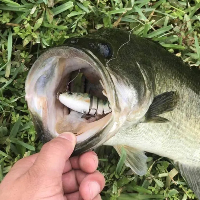 🔥Bionic Lure —Catch Big Fish Fast! 🎣