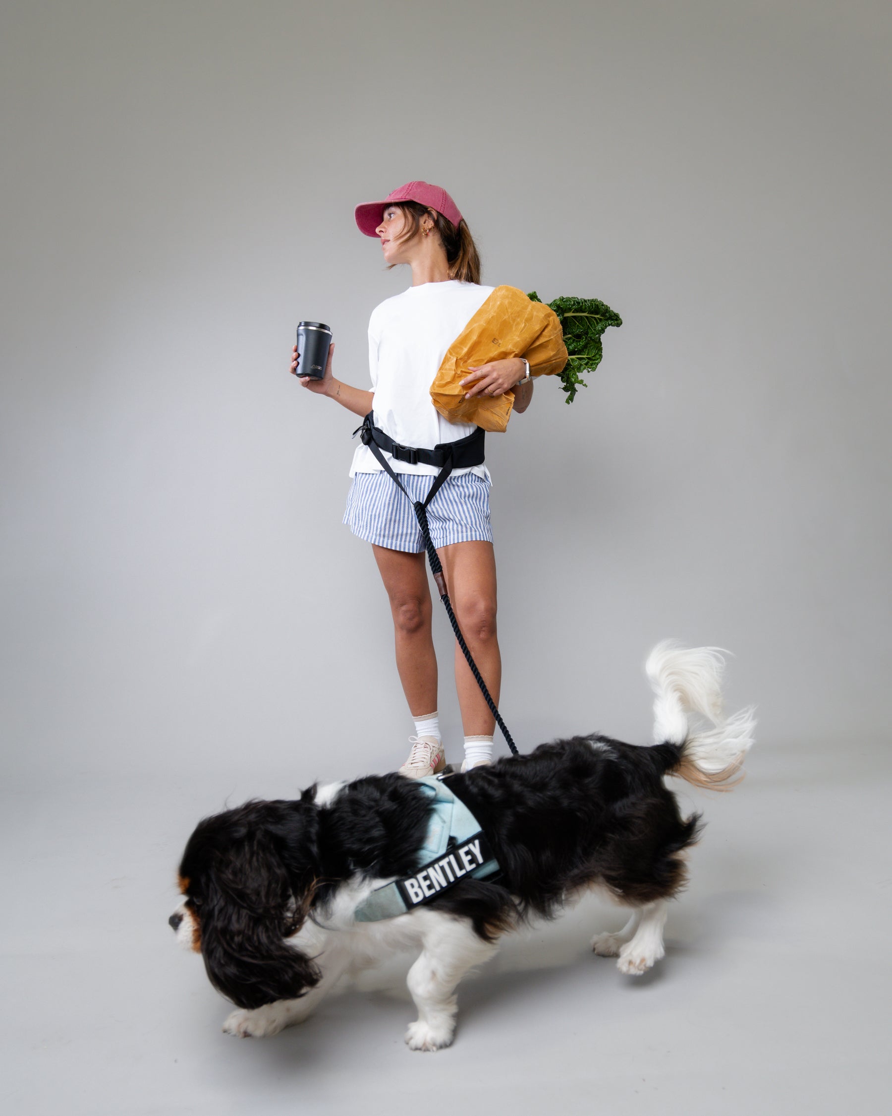 Hands-Free Dog Leash Belt - Adjustable Running & Walking Waist Leash for Dogs with Pouch