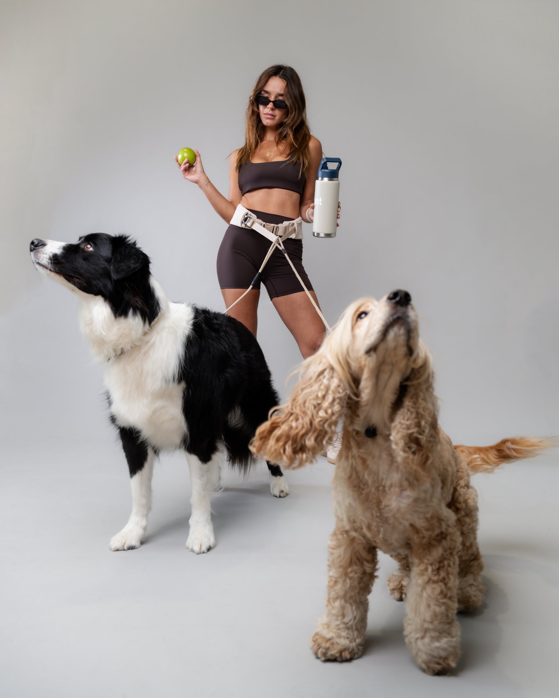 Hands-Free Dog Leash Belt - Adjustable Running & Walking Waist Leash for Dogs with Pouch