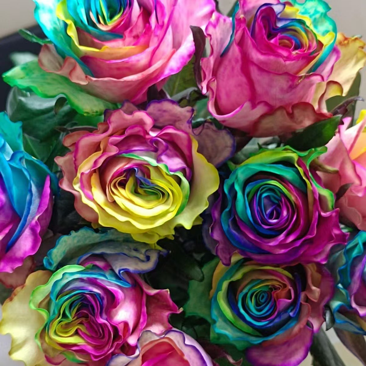 🌹 Graines rares de roses multicolores — Faites fleurir le jardin de vos rêves
