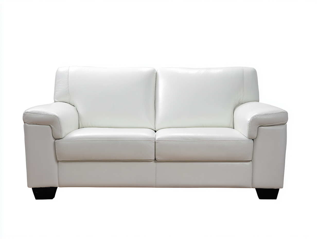 Canapé 2 places en cuir 168x92x83 cm - blanc - style épuré-Loftuply