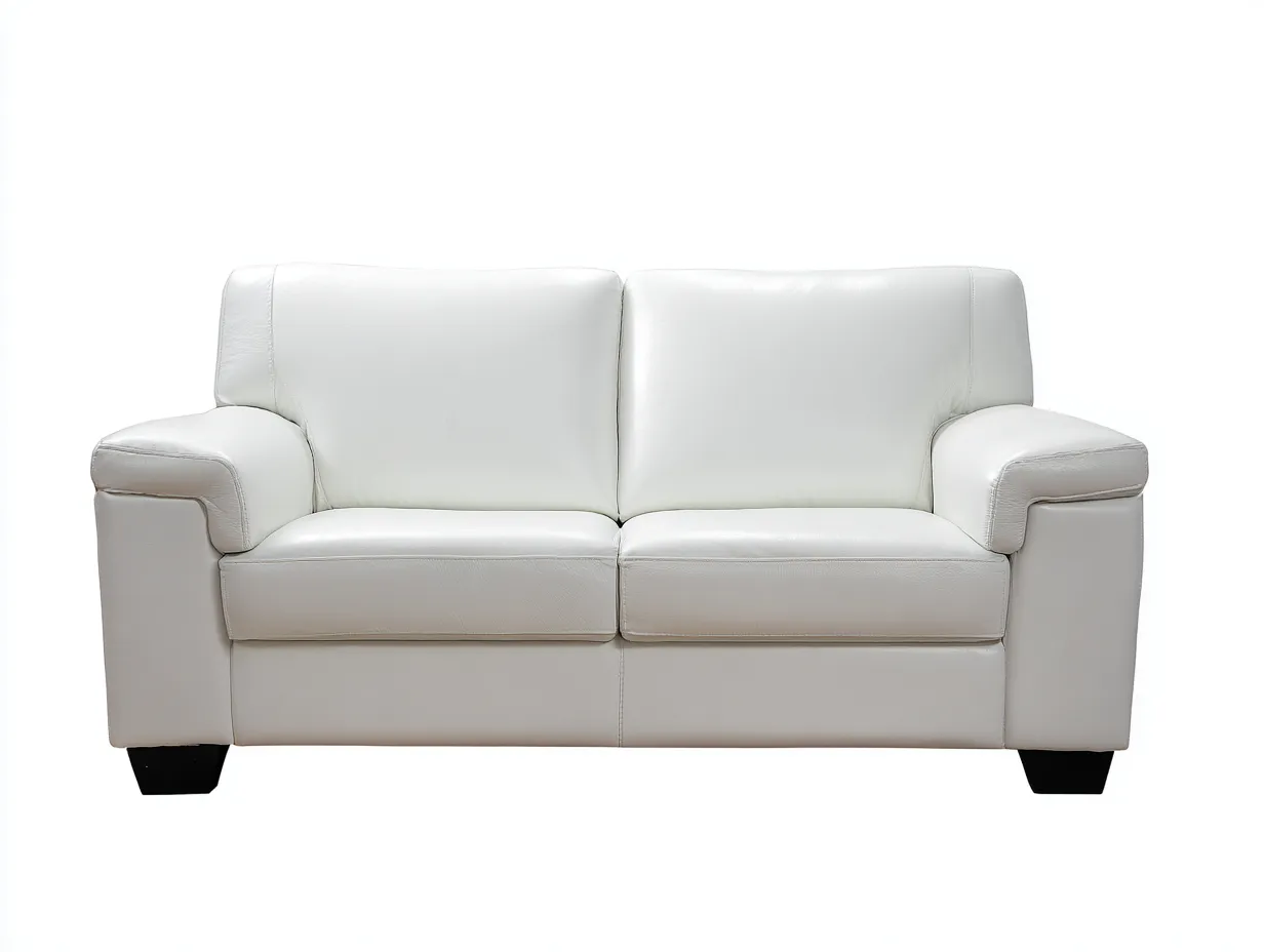 Canapé 2 places en cuir 168x92x83 cm - blanc - style épuré-Loftuply