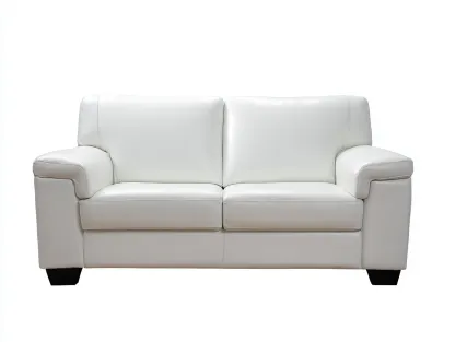 Canapé 2 places en cuir 168x92x83 cm - blanc - style épuré-Loftuply