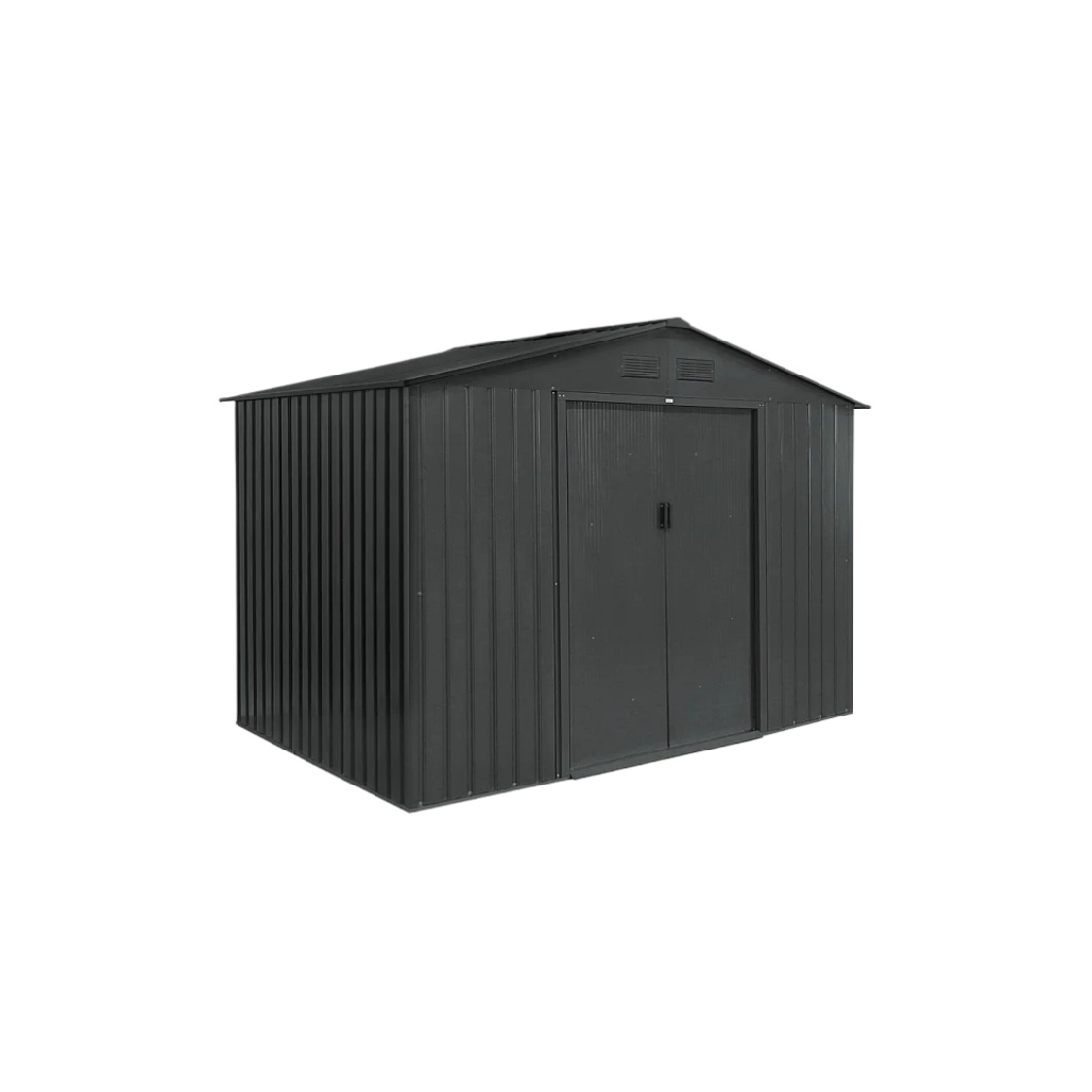 Abri de jardin en métal pour rangement extérieur - 200 x 100 x 150-boistoucher