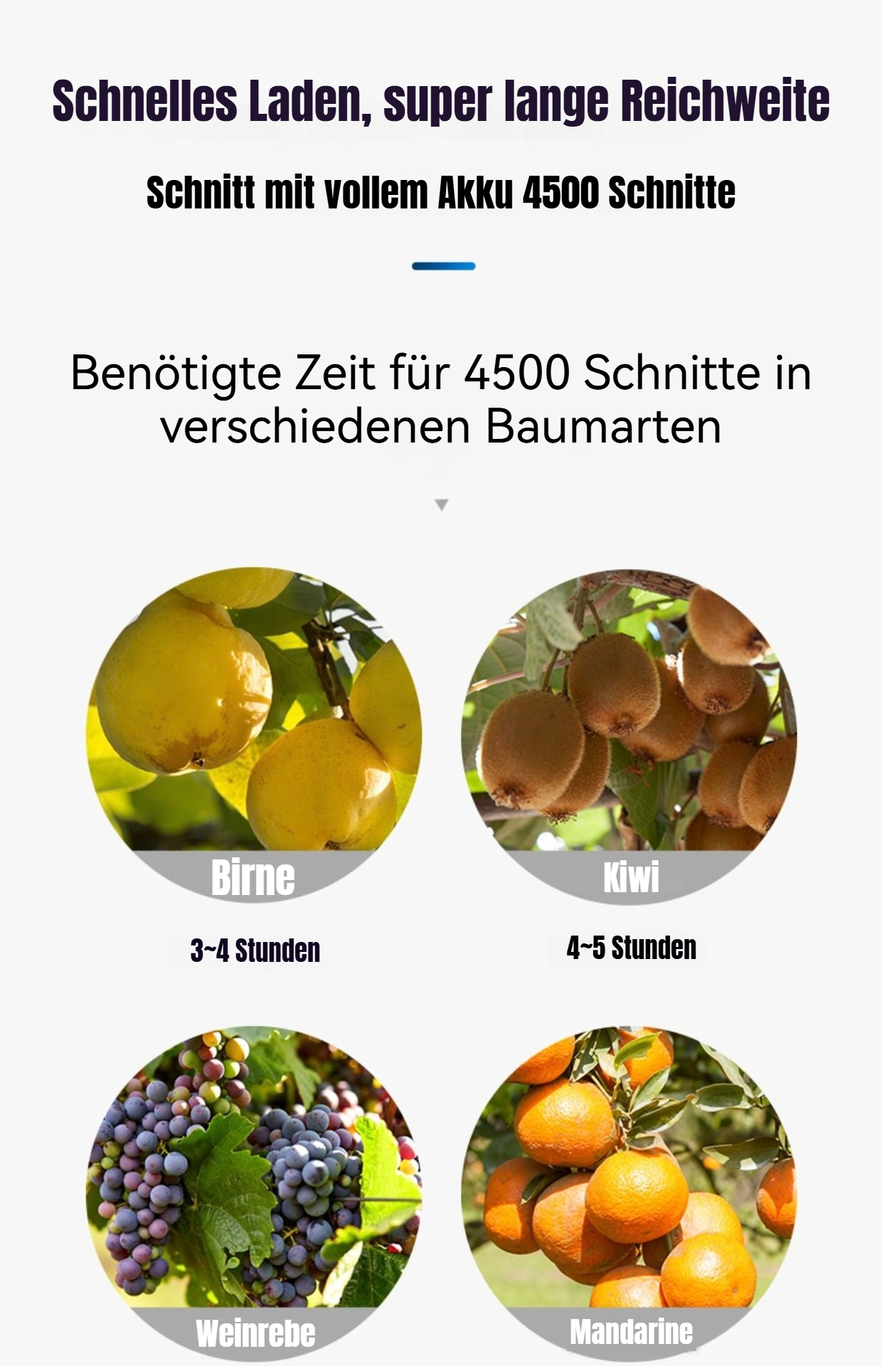 Product details image