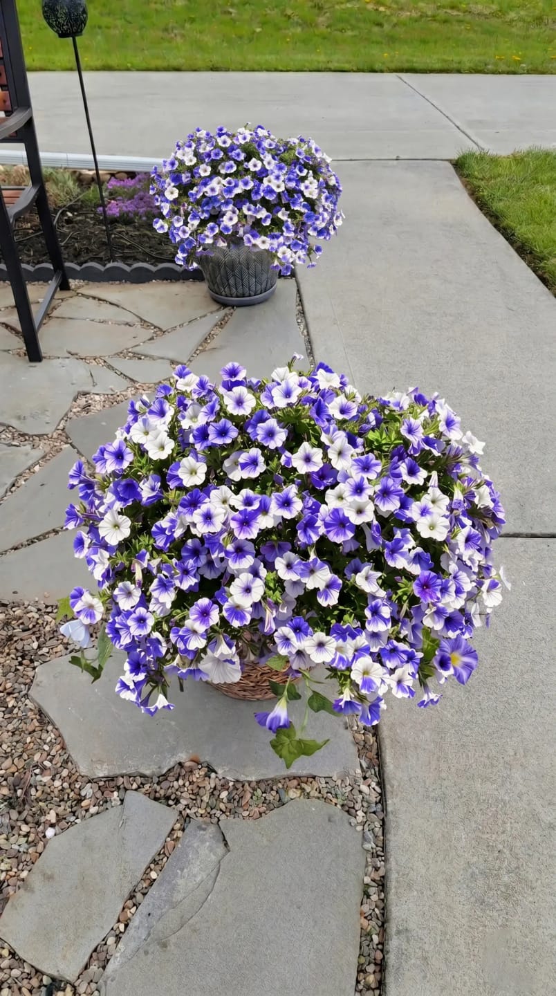 🏆2026 Super Value Set🔥UV Resistant Artificial Petunias Flowers